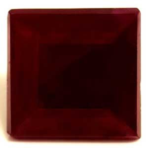 image holder