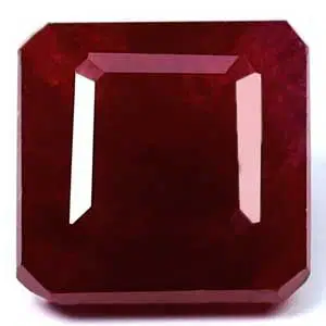 image holder