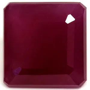 image holder