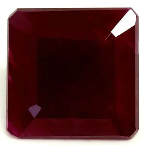 image holder