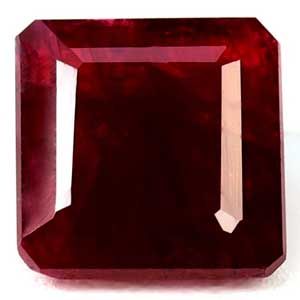 image holder
